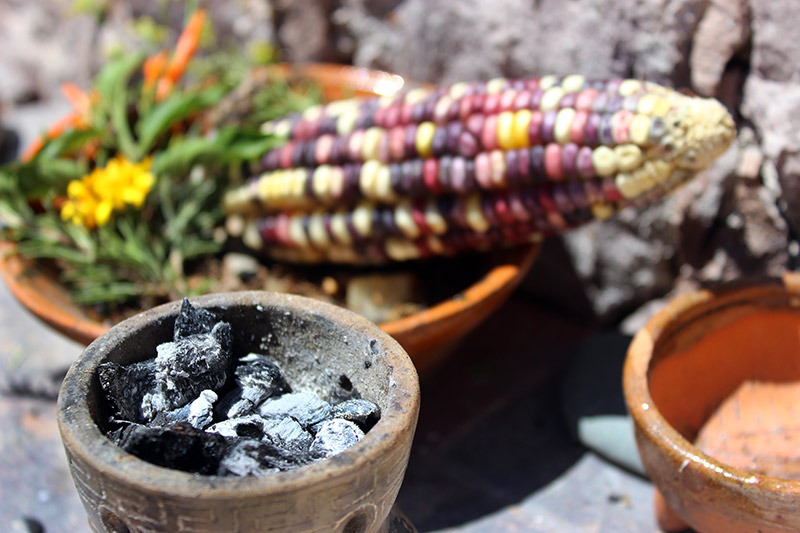 im_servicios08 Temazcal